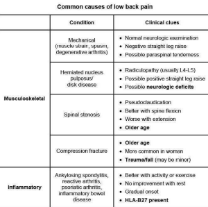 Flashcards - USMLE Rheumatology I