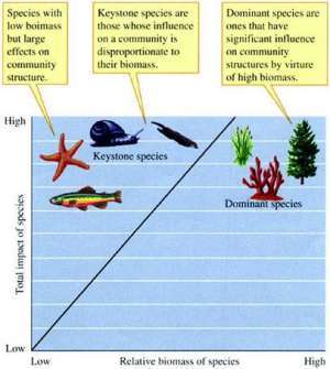 Flashcards - Chapter 3-Biodiversity