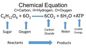 Chemical+Equation+C%3DCarbon%2C+H%3DHydrogen%2C+O%3DOxygen