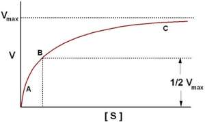 enzyme-saturation-curve