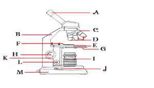 Flashcards - Lab 1 Microscope parts