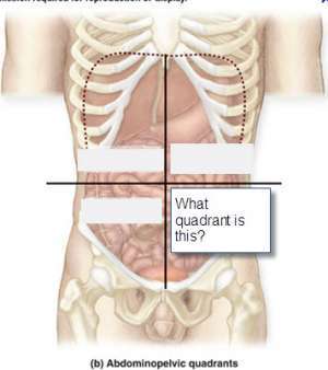 Flashcards - Chapter 2 (Part 2)