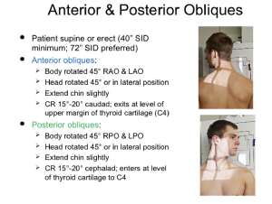 Flashcards - C-Spine