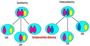 Flashcards - 8 Cytogenetics I