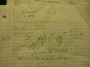 Flashcards - genetics test 2 ch5 epigenetics