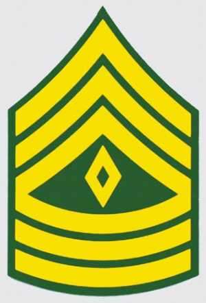 Flashcards - army ranks