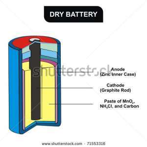 Flashcards - Chapter 11